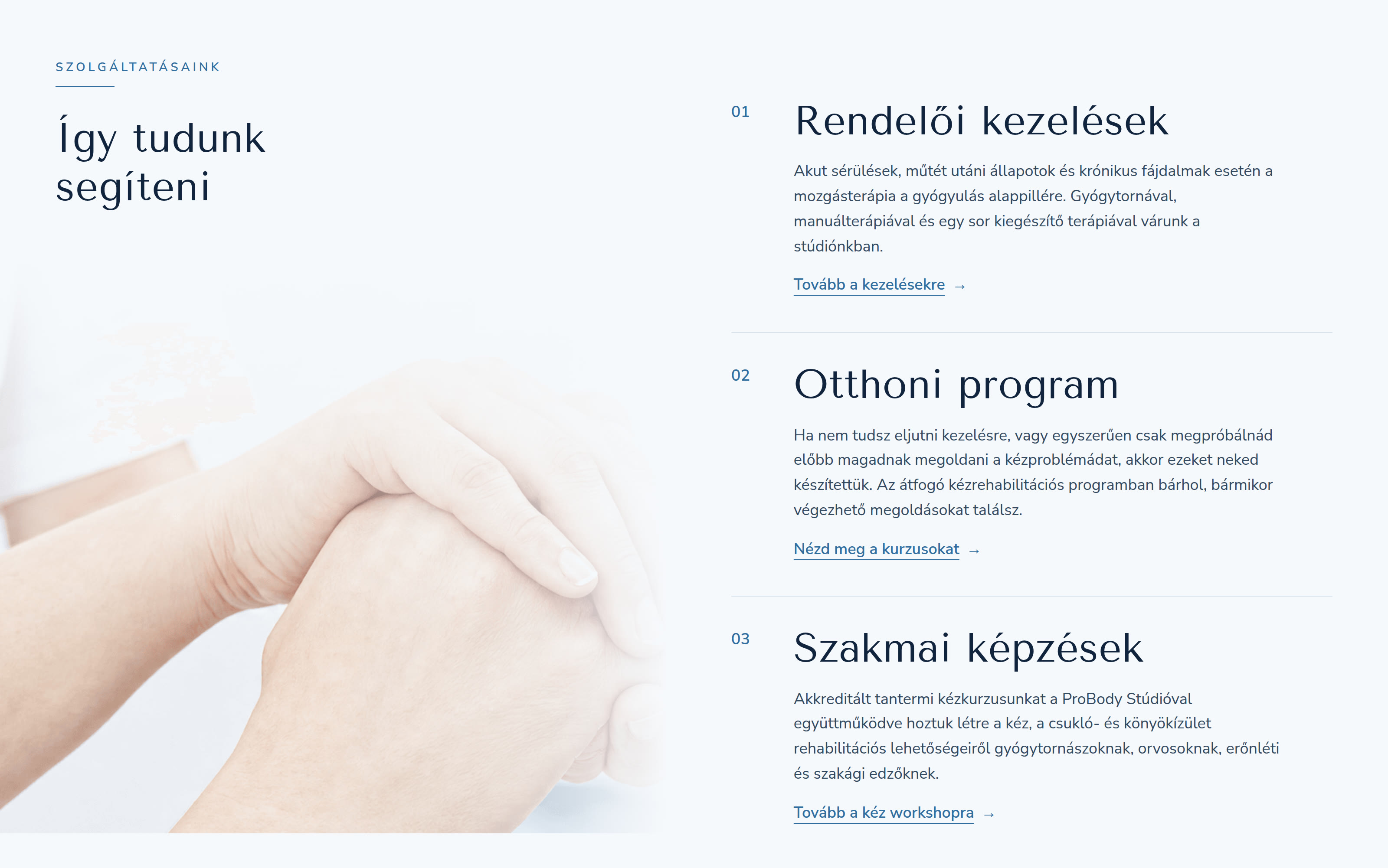 Kineticare services section covering in-clinic treatment, the home exercise programme and professional training
