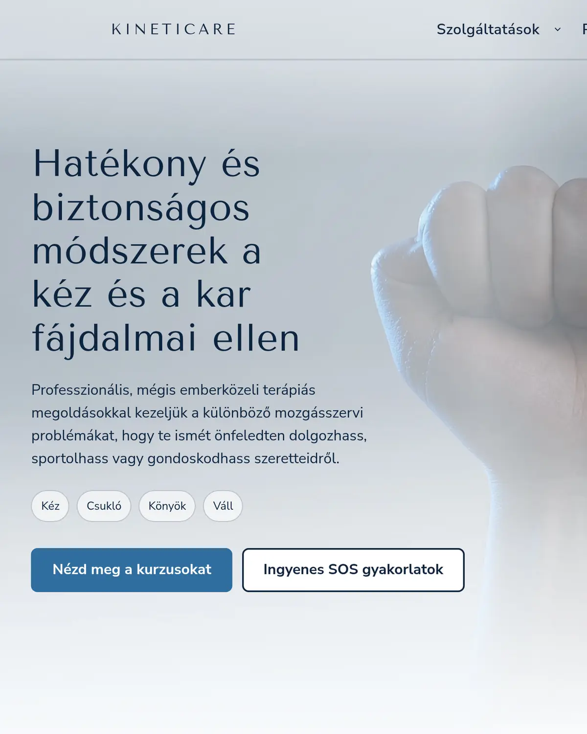 Kineticare digital health platform homepage design